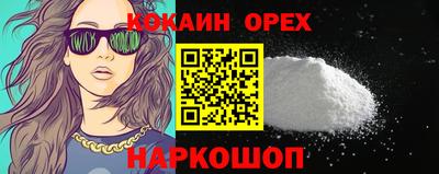 сатива Гатчина