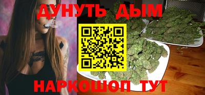 сатива Гатчина