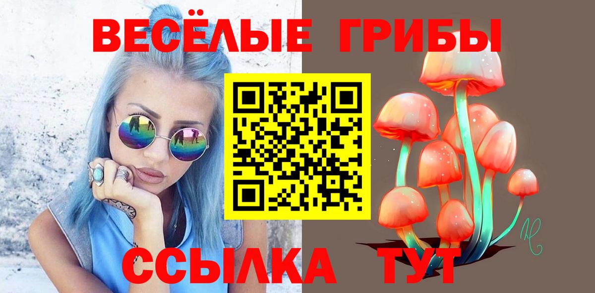 Галлюциногенные грибы Psilocybe  Вход с VPN  Галлюциногенные грибы Psilocybe  Минеральные Воды 