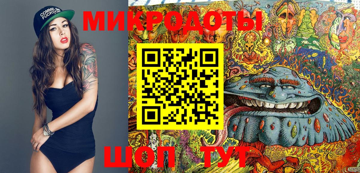 Псилоцибиновые грибы Psilocybe Минеральные Воды